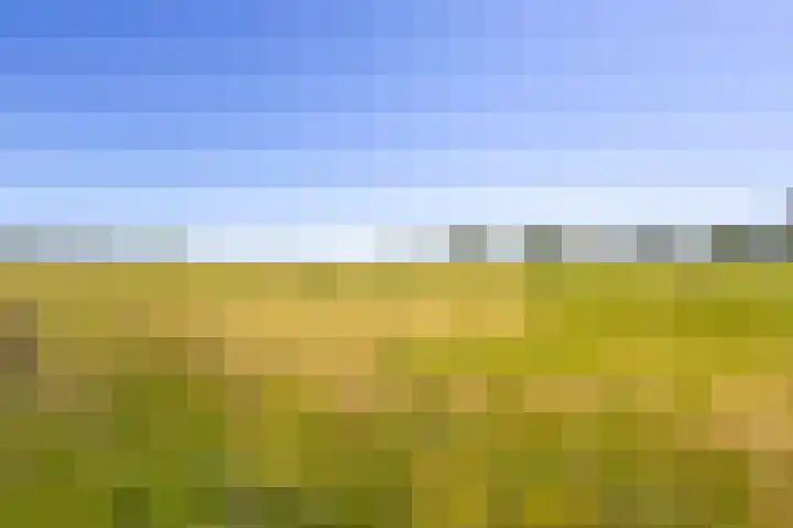 Hazelaarlaan 58 Ameide thumbnail 36