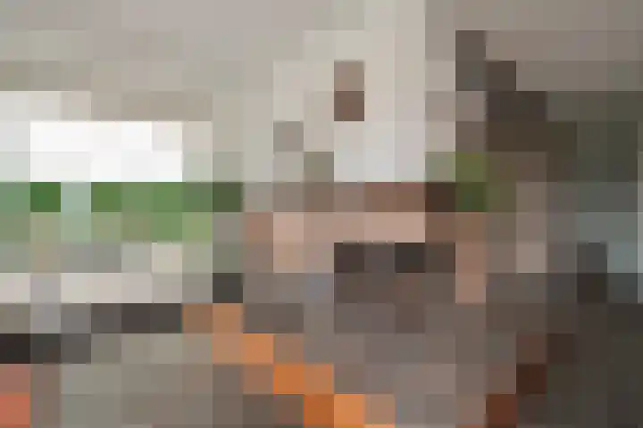 Hazelaarlaan 6 Middenmeer thumbnail 11