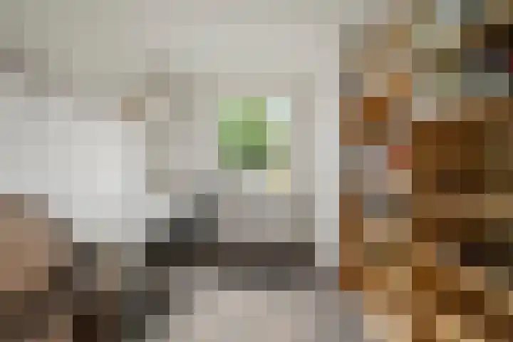 Hazelaarlaan 6 Middenmeer thumbnail 16