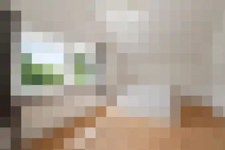 Hazelaarlaan 6 Middenmeer thumbnail 21