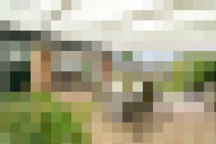 Hazelaarlaan 6 Middenmeer thumbnail 29