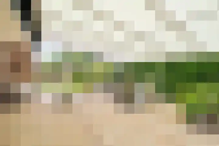 Hazelaarlaan 6 Middenmeer thumbnail 30