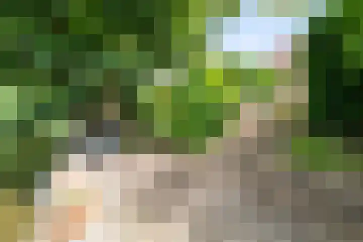 Hazelaarlaan 6 Middenmeer thumbnail 32