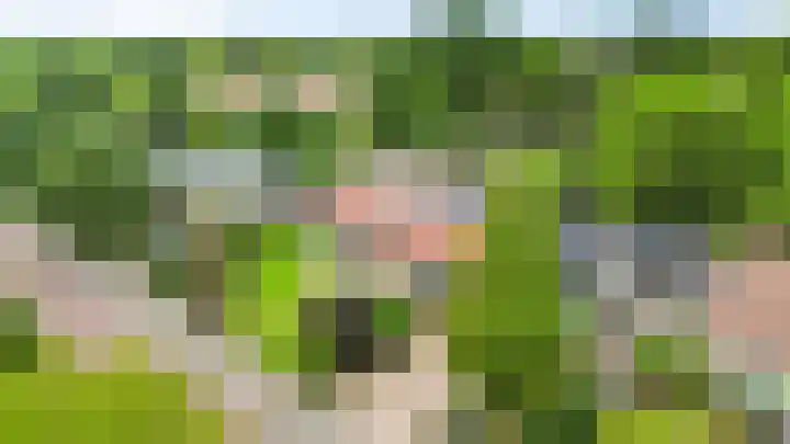 Hazelaarlaan 6 Middenmeer thumbnail 34