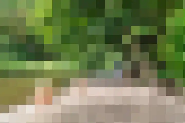 Hazelaarlaan 6 Middenmeer thumbnail 5