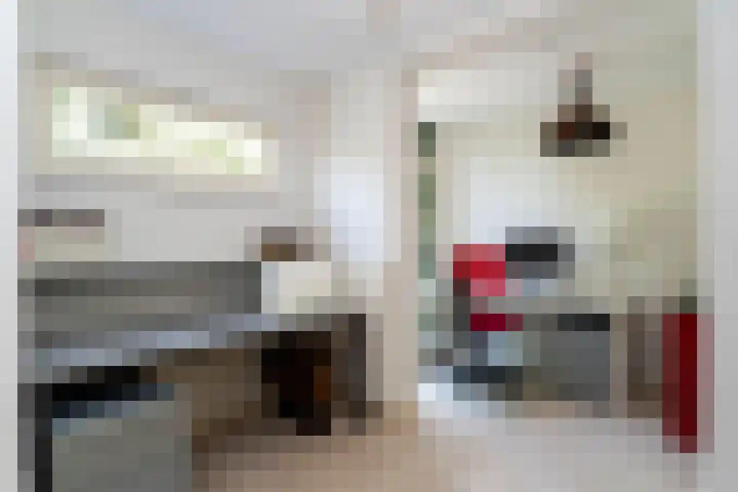Hazelaarlaan 62 Berkel-Enschot thumbnail 20