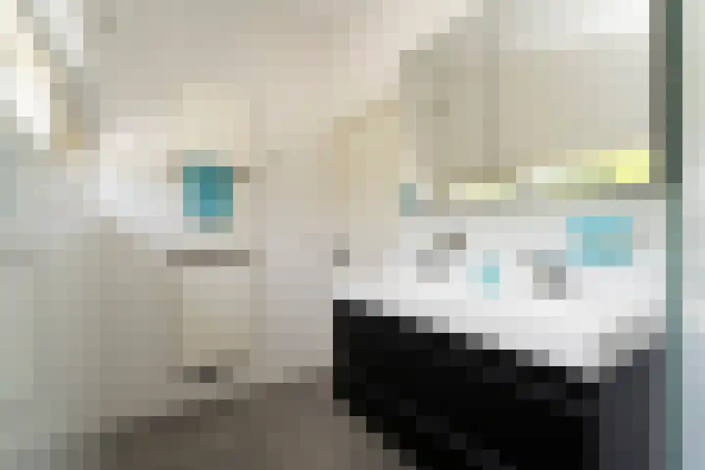 Hazelaarlaan 62 Berkel-Enschot thumbnail 30
