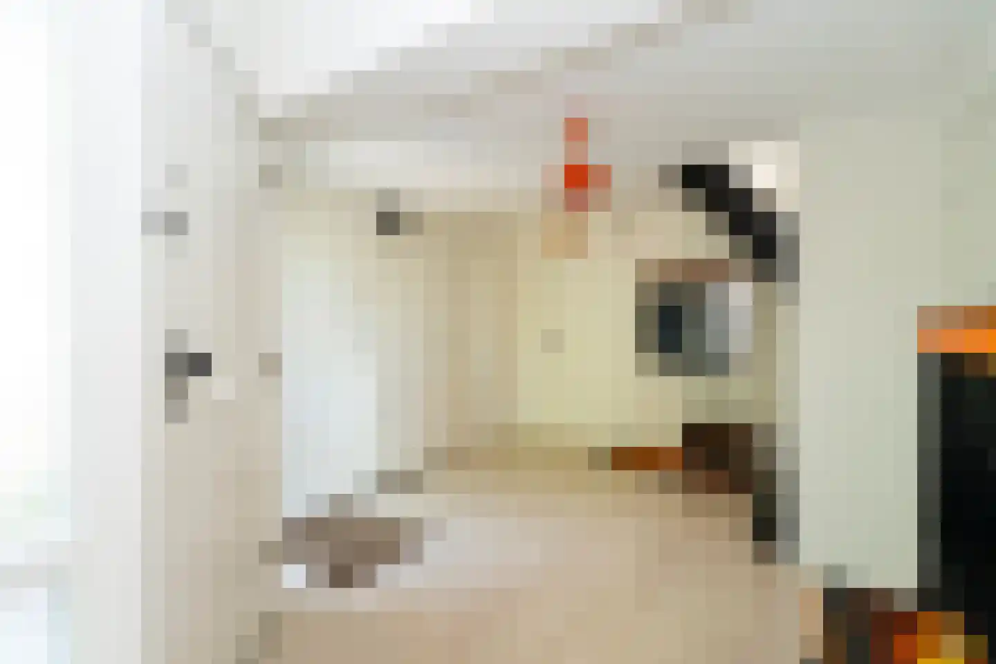 Hazelaarlaan 62 Berkel-Enschot thumbnail 8