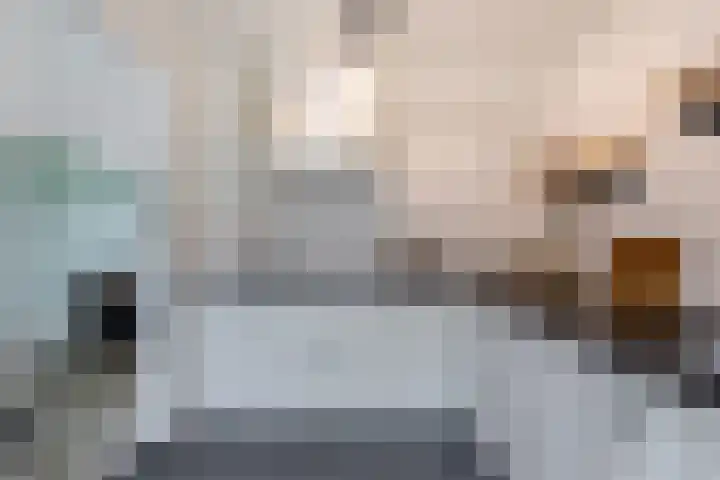 Hazelaarlaan 66 Ameide thumbnail 17