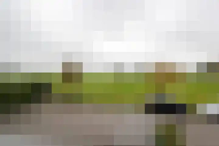Hazelaarlaan 66 Ameide thumbnail 21