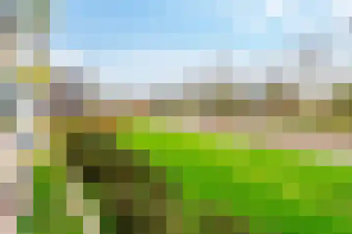Hazelaarlaan 9 Amstelveen thumbnail 10