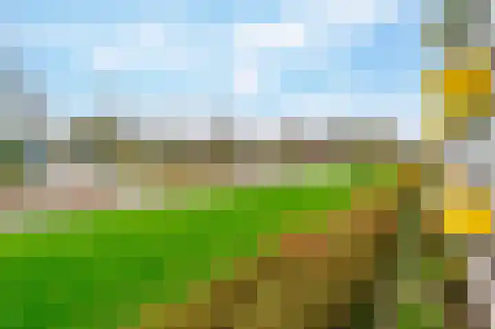 Hazelaarlaan 9 Amstelveen thumbnail 11