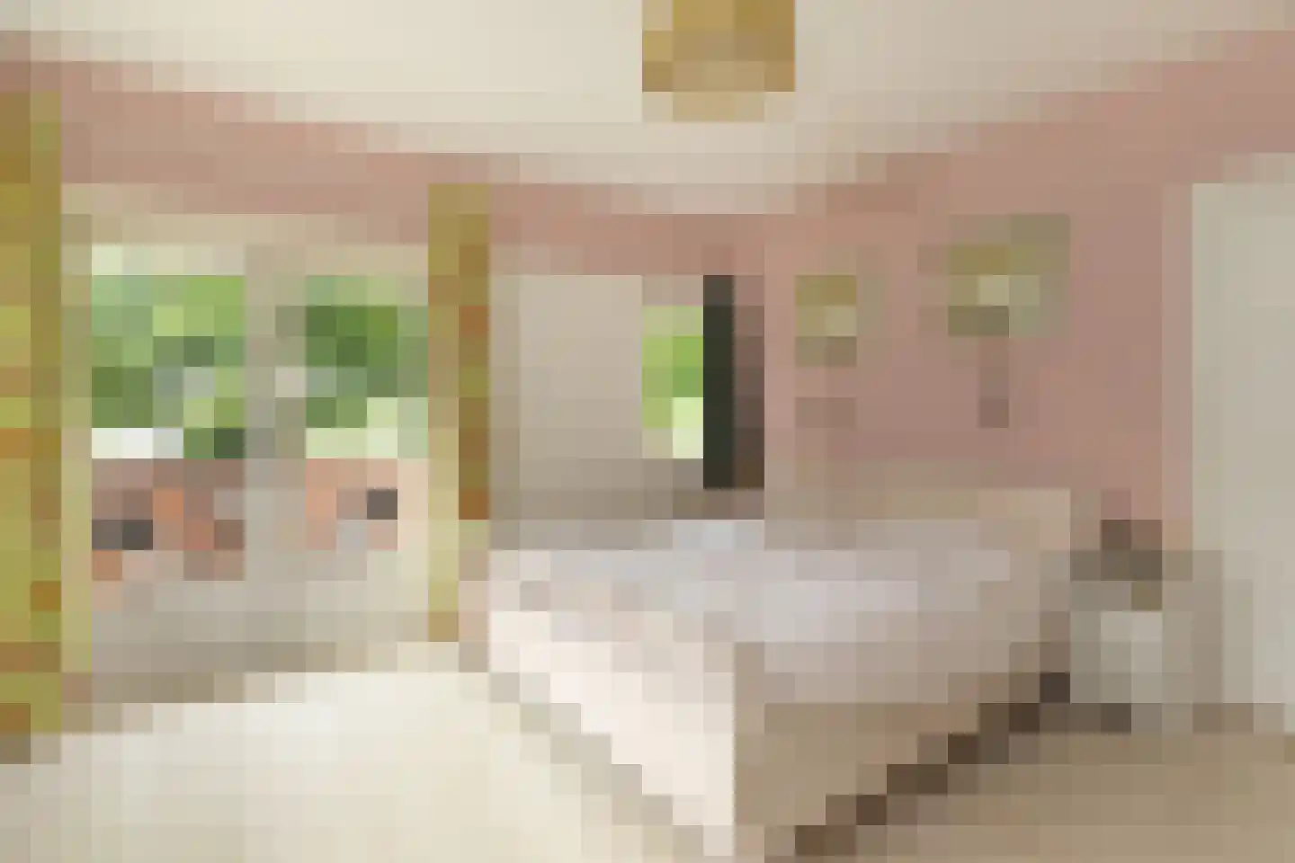 Hazelaarlaan 9 Hilversum thumbnail 16