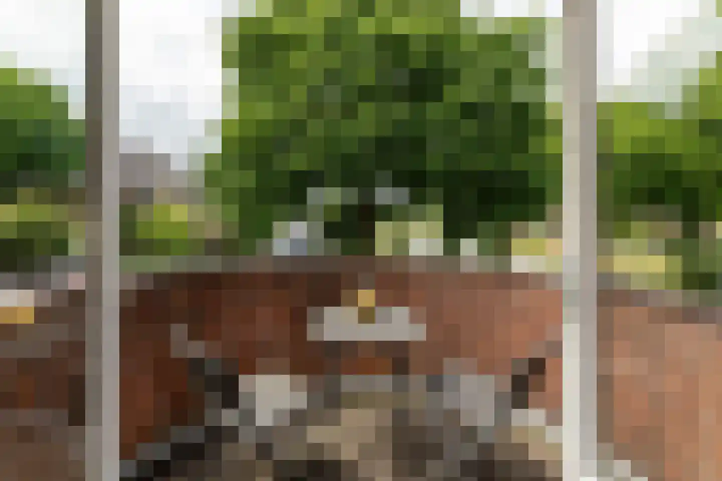 Hazelaarlaan 9 Hilversum thumbnail 18