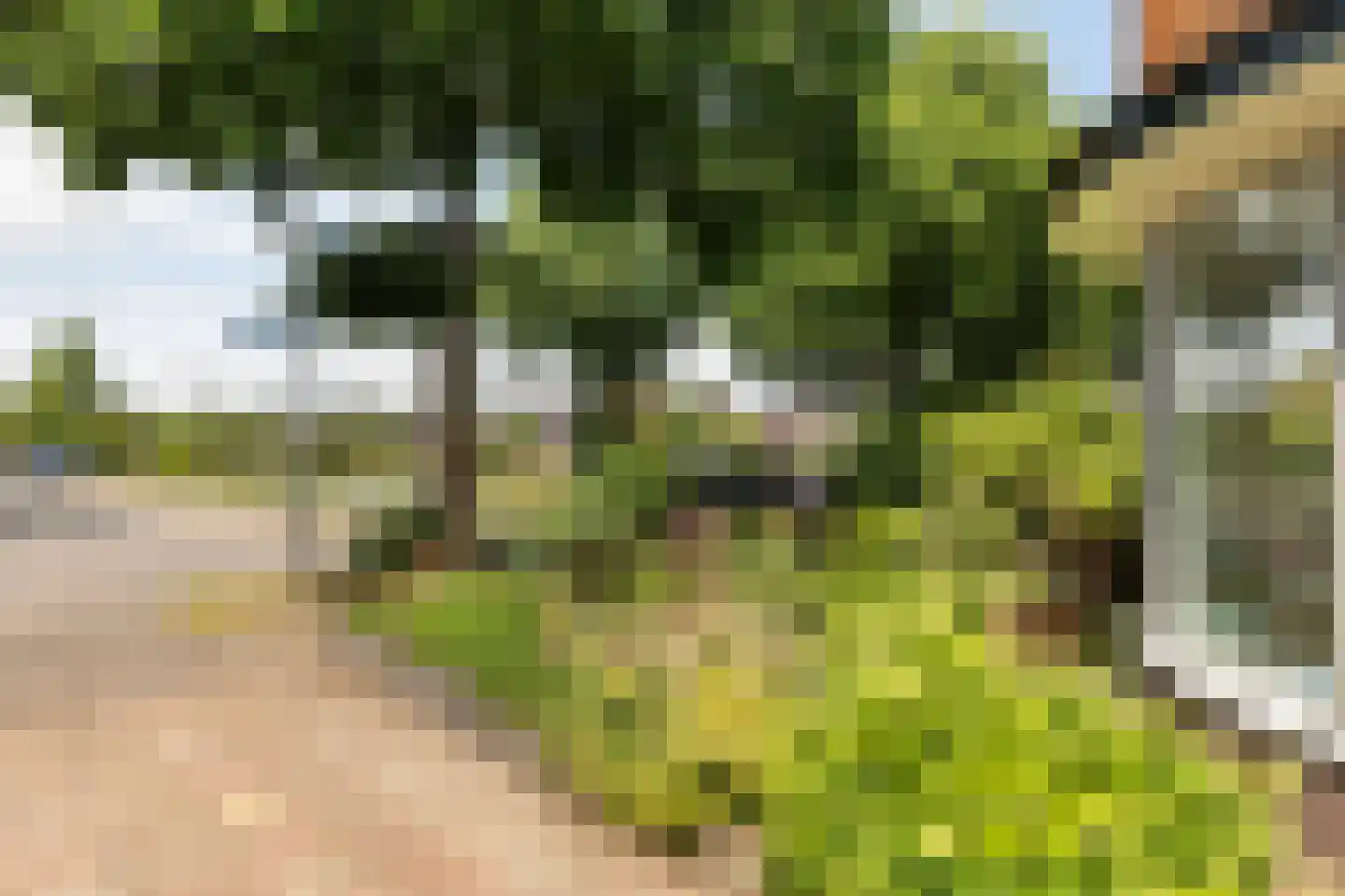 Hazelaarlaan 9 Hilversum thumbnail 4