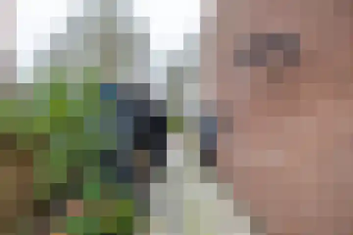 Hazelaarpad 5 Zuidlaren thumbnail 10