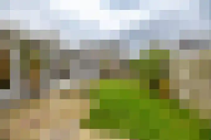 Hazelaarpad 5 Zuidlaren thumbnail 11