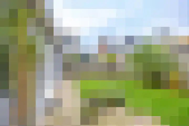 Hazelaarpad 5 Zuidlaren thumbnail 13