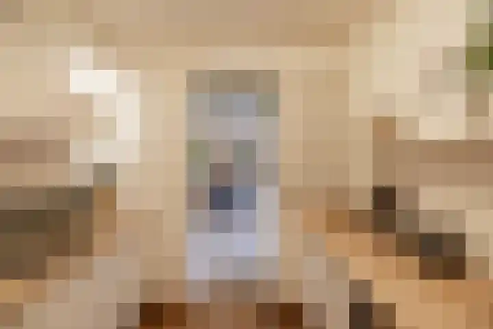 Hazelaarpad 5 Zuidlaren thumbnail 17