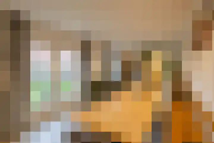 Hazelaarpad 5 Zuidlaren thumbnail 21