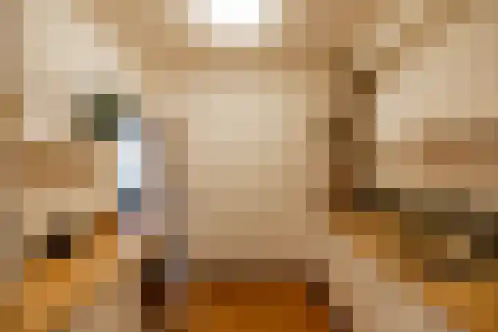 Hazelaarpad 5 Zuidlaren thumbnail 26