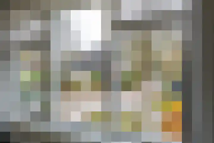 Hazelaarpad 5 Zuidlaren thumbnail 38