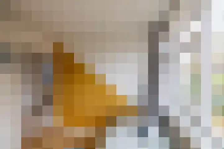 Hazelaarpad 5 Zuidlaren thumbnail 39