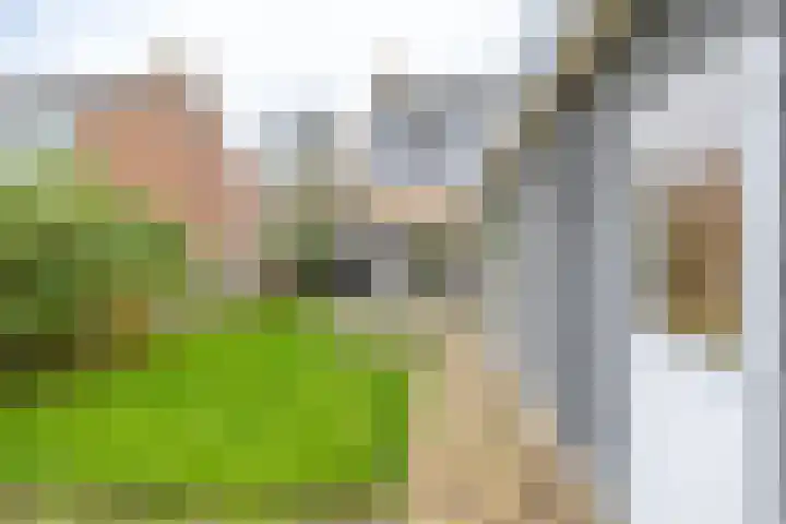 Hazelaarpad 5 Zuidlaren thumbnail 4