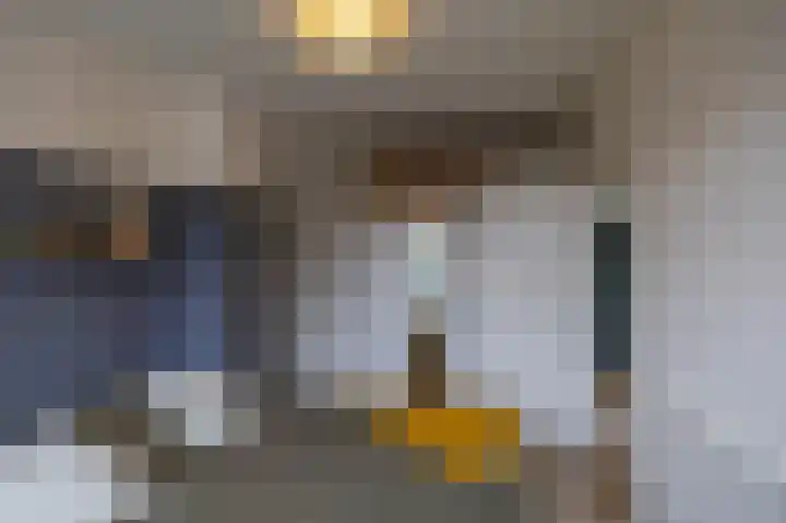 Hazelaarpad 5 Zuidlaren thumbnail 42