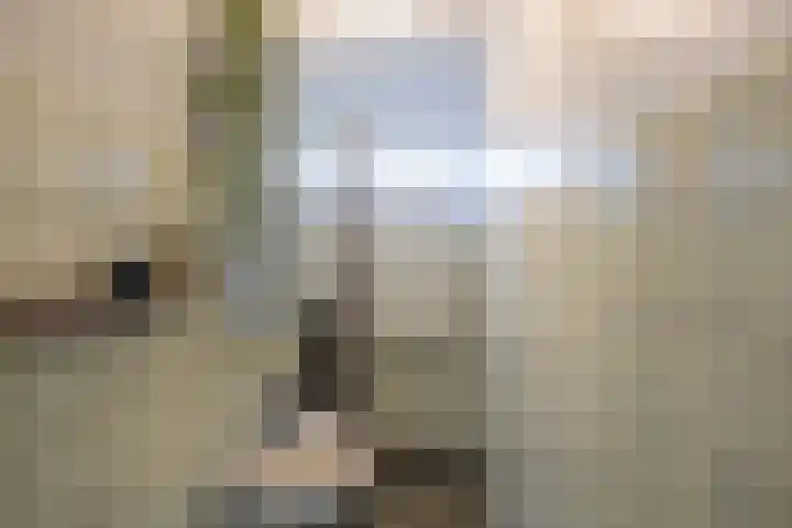Hazelaarpad 5 Zuidlaren thumbnail 45