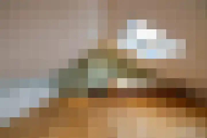 Hazelaarpad 5 Zuidlaren thumbnail 48