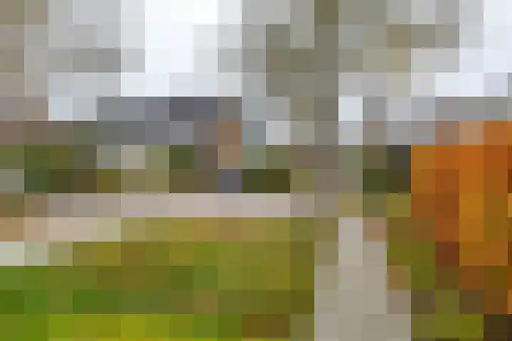 Hazelaarpad 5 Zuidlaren thumbnail 6