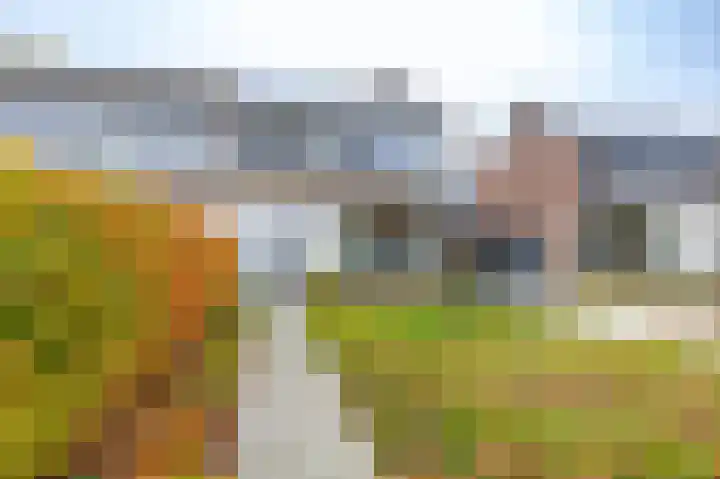 Hazelaarpad 5 Zuidlaren thumbnail 7