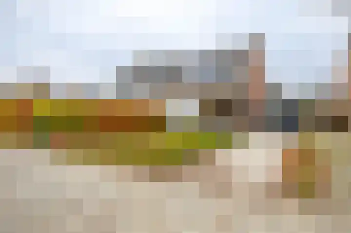 Hazelaarpad 5 Zuidlaren thumbnail 8
