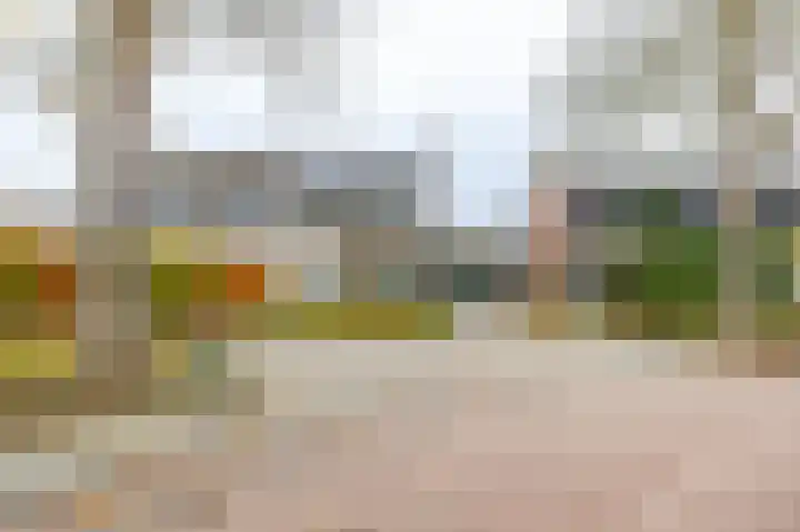Hazelaarpad 5 Zuidlaren thumbnail 9