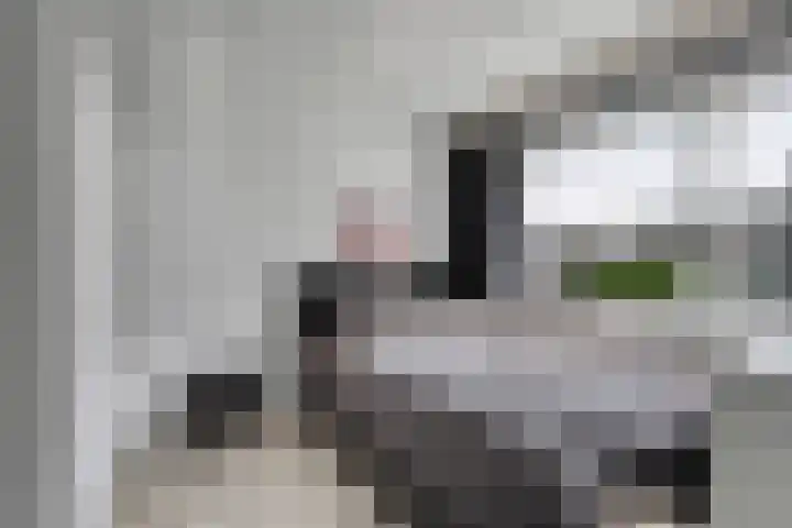 Hazelaarpark 16 Goirle thumbnail 14