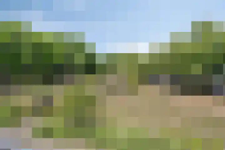 Hazelaarpark 16 Goirle thumbnail 19