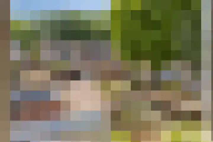 Hazelaarpark 16 Goirle thumbnail 24
