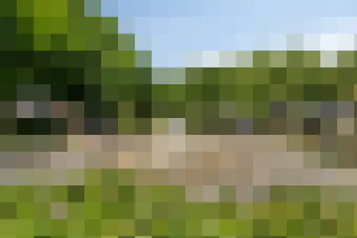 Hazelaarpark 16 Goirle thumbnail 35