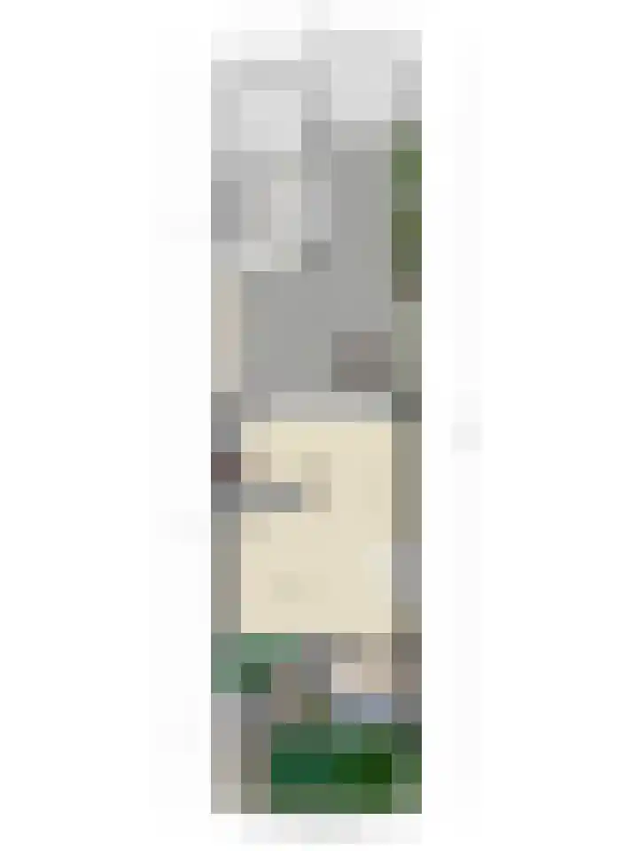 Hazelaarpark 16 Goirle thumbnail 41