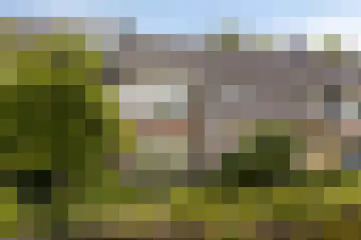 Hazelaarpark 16 Goirle thumbnail 42