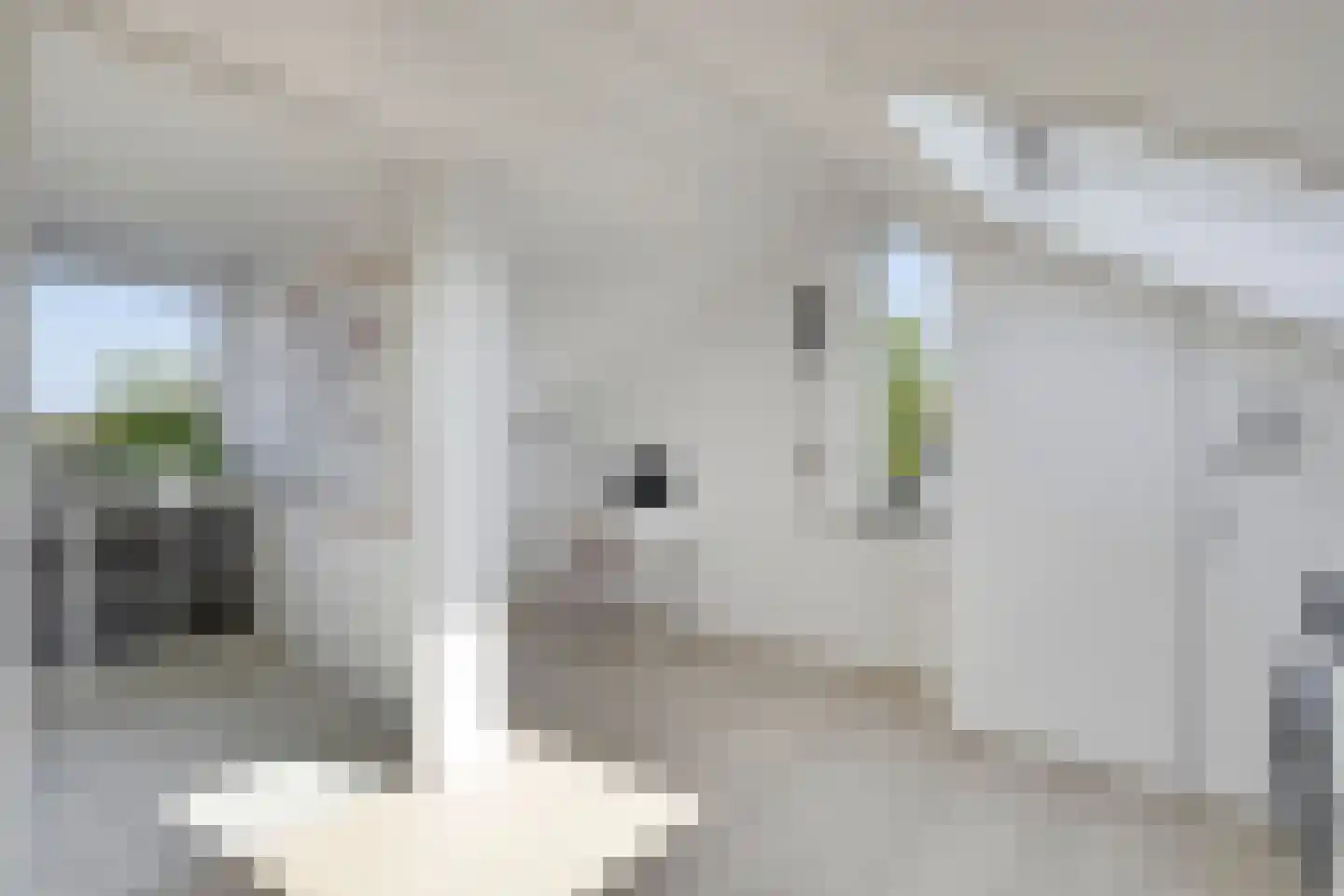 Hazelaarserf 12 Bathmen thumbnail 23
