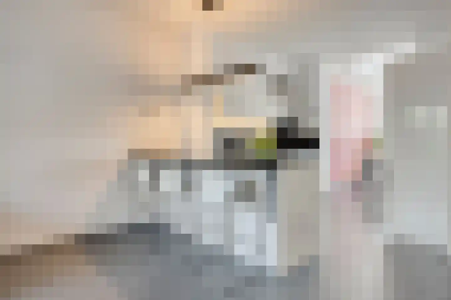 Hazelaarserf 12 Bathmen thumbnail 6