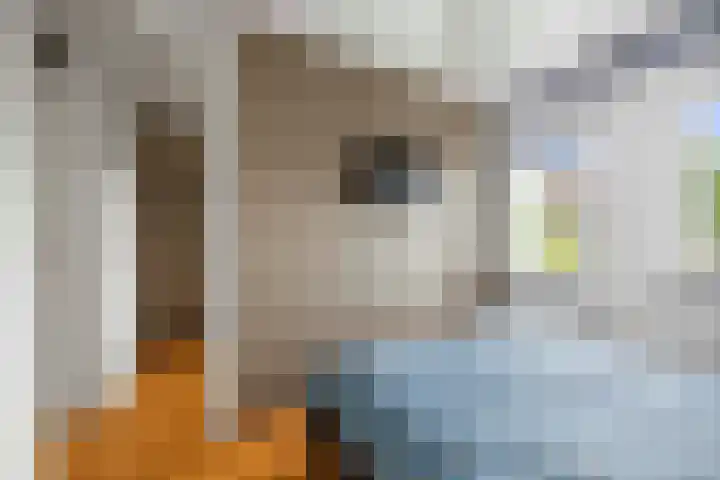 Hazelaarserf 17 Bathmen thumbnail 17
