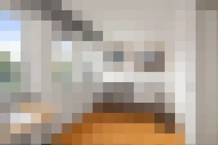 Hazelaarserf 17 Bathmen thumbnail 19