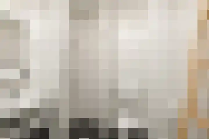 Hazelaarserf 17 Bathmen thumbnail 21