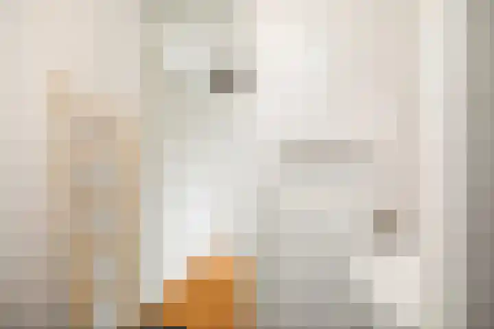 Hazelaarserf 17 Bathmen thumbnail 23