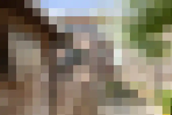Hazelaarserf 17 Bathmen thumbnail 27