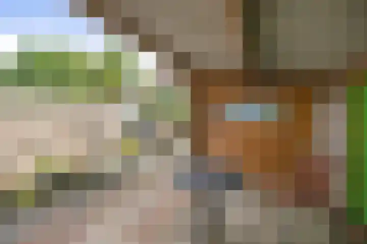 Hazelaarserf 17 Bathmen thumbnail 28