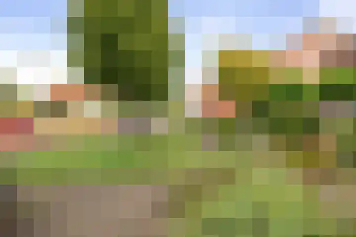 Hazelaarserf 17 Bathmen thumbnail 31